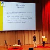 Sotaforelasning agnetaochlars 2