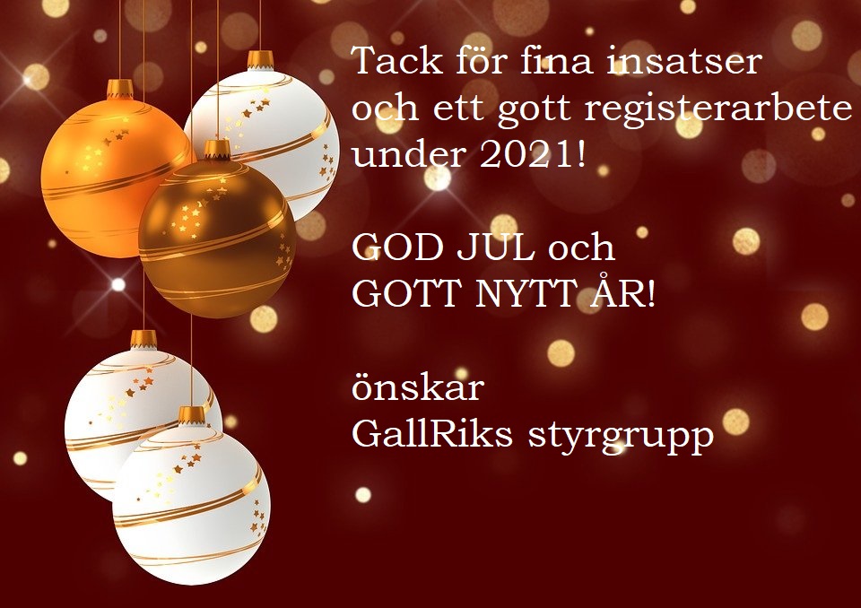 julhälsning 2021 copy